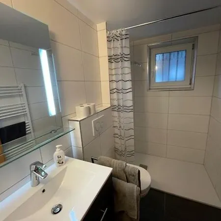 Plattner شقة لينز