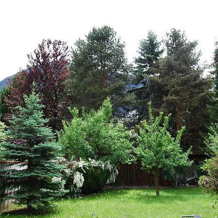 Plattner Daire Lienz