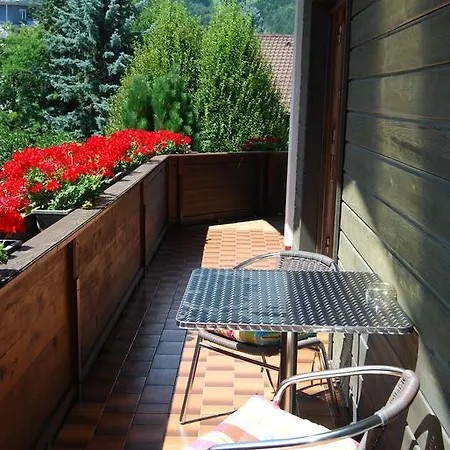 شقة Plattner لينز