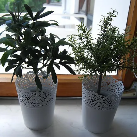 Apartamento Plattner