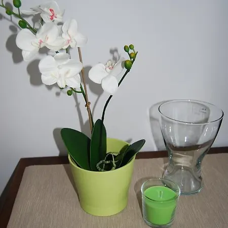 Plattner Appartement
