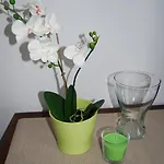 Plattner Apartment
